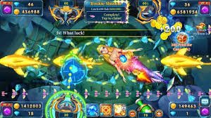 r7 bet br r7 bet br